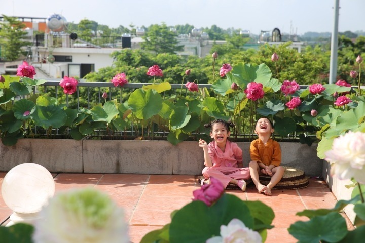 Trong cộng đồng những người yêu cây cảnh, chị Phạm Thiên Trang không phải là cái tên xa lạ khi đang sở hữu và điều hành một trang trại hoa hồng rộng 2ha với hàng trăm giống hoa nội, ngoại nhập. Tuy nhiên, thời gian gần đây, chị lại tiếp tục gây ấn tượng mạnh mẽ với cư dân mạng khi chia sẻ những hình ảnh về khu vườn sen "đẹp như mơ" nằm giữa lòng phố thị.