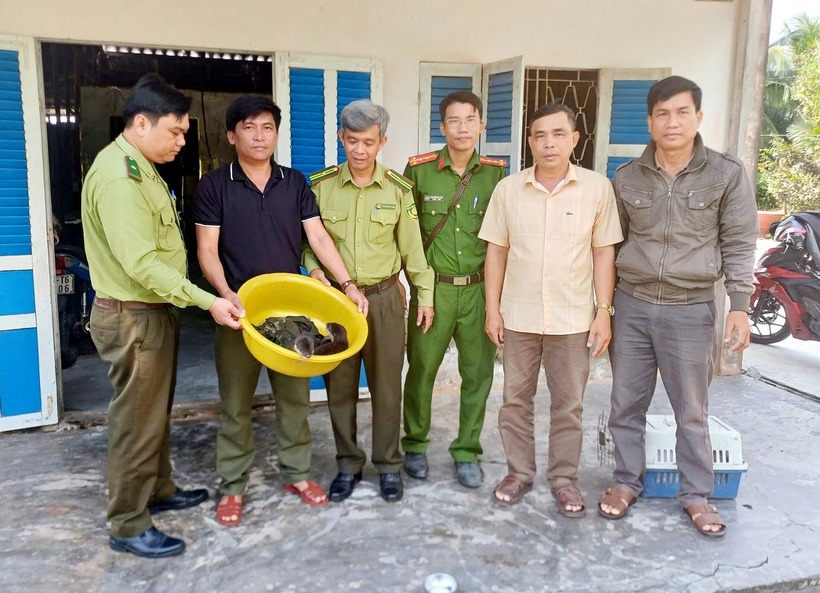 Lực lượng chức năng tiếp nhận rái cá do người dân tự nguyện giao nộp. (Ảnh: Báo An Giang)