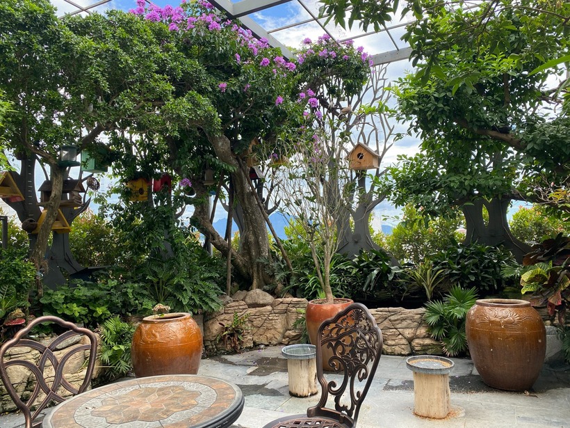 Ý tưởng kiến tạo "rừng trên nóc nhà" vốn được anh Huyền Anh ấp ủ từ rất lâu. Niềm đam mê chim, cá cảnh đã ngấm vào máu thịt của anh từ thuở nhỏ, dù khi ấy anh thường xuyên bị cha mẹ trách phạt vì dành quá nhiều thời gian cho thú vui này. Đến khi trưởng thành và thành đạt, dù bận rộn với công việc, tình yêu dành cho những loài chim quý trong anh vẫn không hề thuyên giảm.