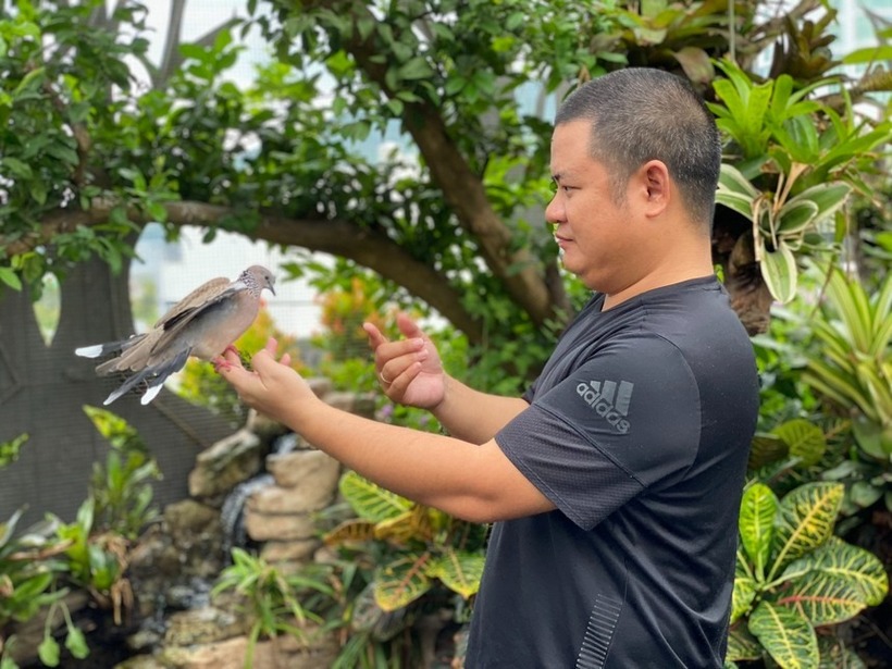 Tuy nhiên, khác với cách nuôi chim truyền thống là nhốt trong lồng chật hẹp, anh Huyền Anh luôn trăn trở về việc mang lại sự tự do cho chúng. Anh mong muốn các loài chim được bay nhảy trong môi trường tự nhiên thực thụ. Đó cũng chính là lý do anh tìm đến thú chơi Aviary – mô hình nuôi chim trong chuồng lưới khổng lồ có đầy đủ cây xanh, hồ nước và hệ sinh thái khép kín.