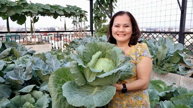 Với một người giáo viên ngoại ngữ đã nghỉ hưu, nếu có trong tay khoản tiền nhàn rỗi cùng quỹ thời gian thảnh thơi, mỗi người sẽ chọn cho mình một cách hưởng thụ riêng, và lựa chọn của cô chính là kiến tạo một “vườn rau trên mây” ngay tại tổ ấm của mình.