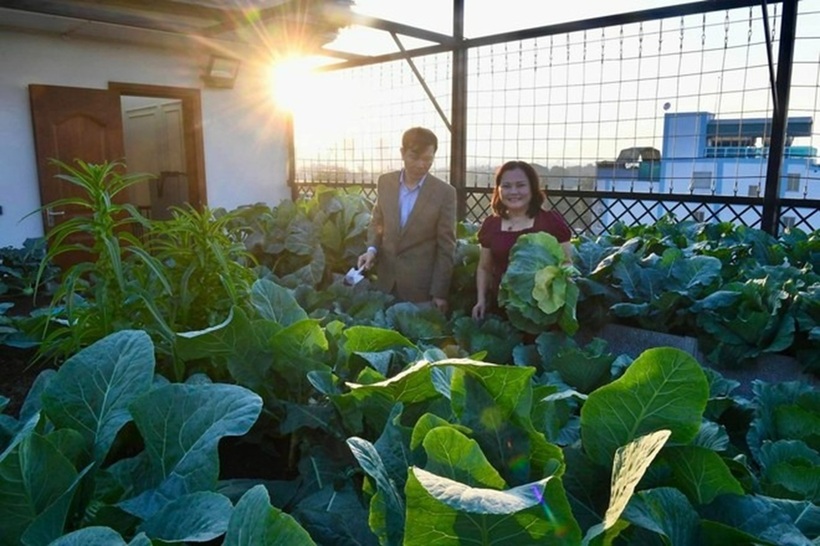 Những ngày dài dầm nắng đến sạm da, tay chân mỏi nhừ cuối cùng cũng được đền đáp khi đất vườn trở nên tơi xốp, sạch mầm bệnh và giàu dinh dưỡng, giúp cô không còn phải thay đất cho những mùa sau.