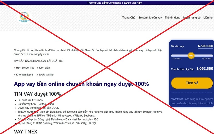 Website giả mạo Trường Cao đẳng Công nghệ Y - Dược Việt Nam. Ảnh: Người Lao Động.