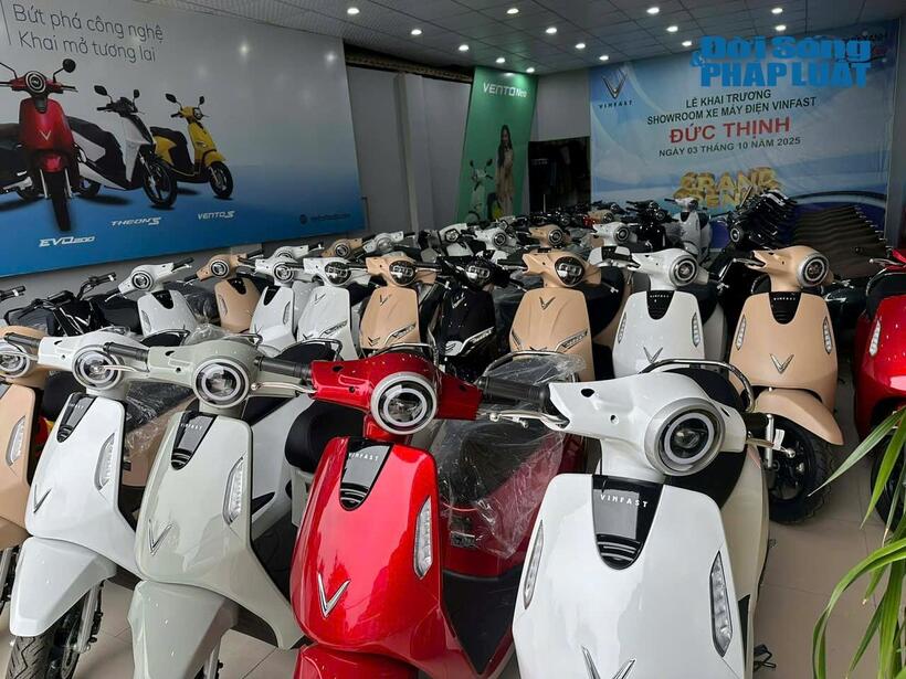 Nhiều mẫu xe máy điện được trưng bày tại cửa hàng để khách hàng tham khảo và lựa chọn.