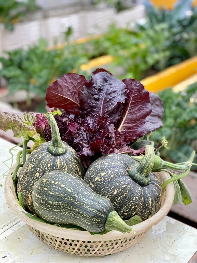 Khu vườn đã trở thành sợi dây kết nối các thành viên, giúp người già và trẻ nhỏ có được cảm giác gần gũi với thiên nhiên ngay giữa lòng thành phố. Chị tin rằng việc sống chan hòa với cây cỏ, nắng gió sẽ giúp tâm hồn mỗi người trở nên nhẹ nhàng và bình yên hơn.