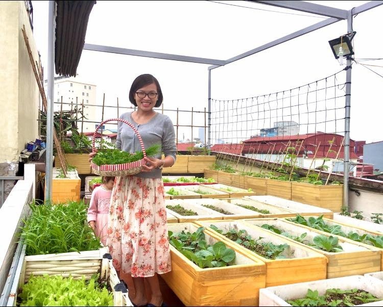 Tháng 9/2021, thời điểm dịch bệnh diễn biến phức tạp và phải ở nhà dài ngày, chị Thơm quyết định bàn với chồng về kế hoạch trồng rau trên sân thượng. Động lực của chị không chỉ dừng lại ở việc chủ động nguồn thực phẩm mà còn muốn tạo ra một không gian thư giãn cho bố mẹ chồng và các con, giúp ông bà bớt cảm giác tù túng khi sống giữa phố thị.