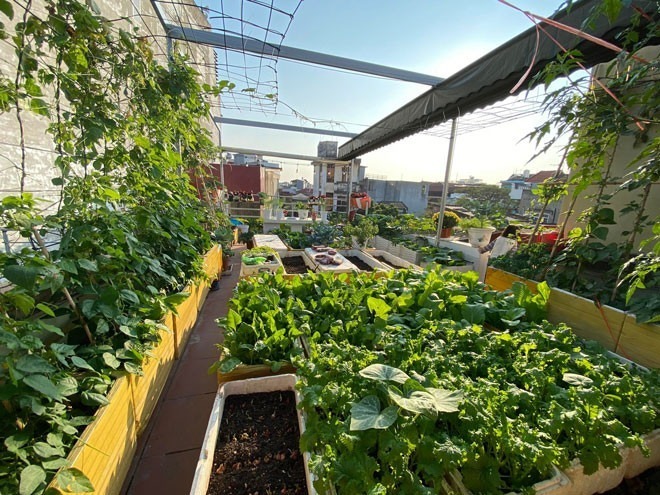 Tuy nhiên, rào cản lớn nhất lúc bấy giờ chính là sự phản đối của bố mẹ chồng khi chị đưa ra ý định dỡ bỏ mái nhà để làm vườn. Không bỏ cuộc, chị Thơm đã kiên trì nhờ chồng và người thân thuyết phục. Khi thấy thái độ của ông bà dần cởi mở hơn, chị quyết định triệu tập thợ để thi công ngay lập tức.