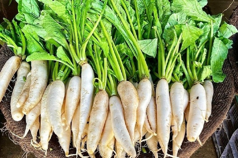 Hàm lượng kali và phospho thấp trong củ cải giúp giảm áp lực lên thận trong quá trình lọc máu, hỗ trợ chức năng thận.