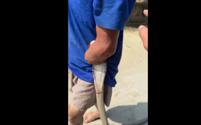 Người đàn ông mang con rắn về nhà sau khi bị cắn. Ảnh: Dân trí