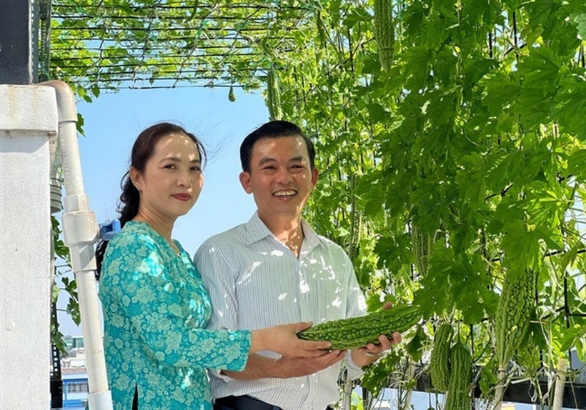 Anh Phan Văn Liêm, 50 tuổi, hiện đang làm kinh doanh tự do tại TP.HCM, đã có hơn 7 năm kinh nghiệm canh tác vườn rau sạch trên tầng thượng. Những ngày đầu bắt tay vào làm, anh gặp không ít trở ngại do chưa có kinh nghiệm và phải tự mình vận chuyển thủ công toàn bộ đất, vật tư lên tầng 4 bằng cầu thang bộ.