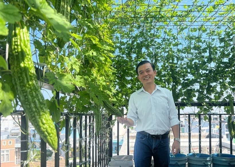 Để tối ưu hóa việc trồng trọt, anh tận dụng các thùng sơn có độ bền cao làm chậu trồng. Anh chia sẻ bí quyết lót một lớp xỉ than dưới đáy, đục lỗ bên hông cách đáy khoảng 5cm để giữ lại nước và chất dinh dưỡng, giúp bộ rễ tự tìm xuống hút nước khi chủ nhà bận việc vắng mặt vài ngày.