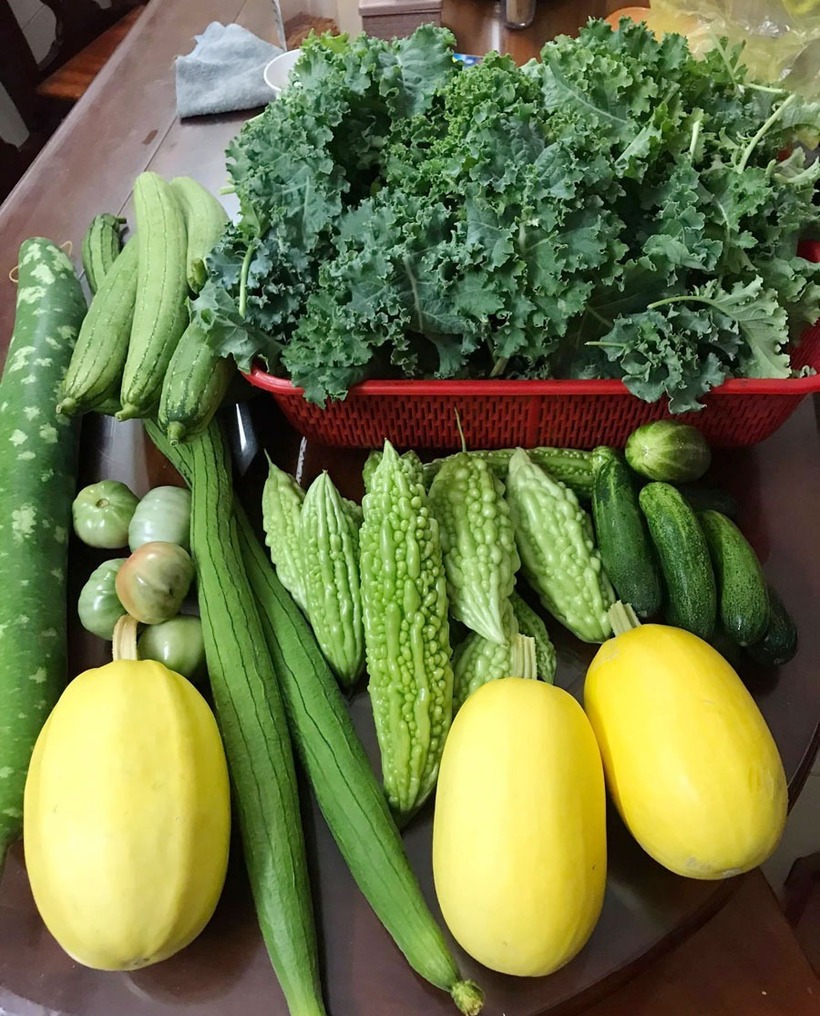 Không chỉ dừng lại ở việc tự cung tự cấp thực phẩm sạch cho gia đình, anh Liêm còn tích cực lan tỏa niềm đam mê trồng trọt đến cộng đồng. Anh thường xuyên chia sẻ kinh nghiệm trên mạng xã hội, tặng hạt giống cho các shop cây giống 0 đồng và lập nên một nhóm những người yêu vườn sân thượng tại TP.HCM.