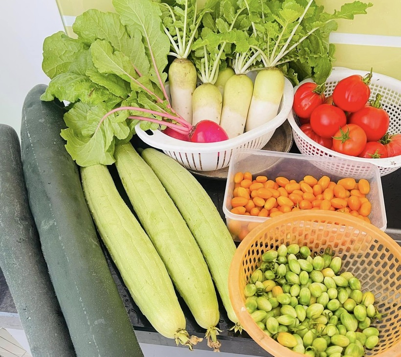 Mỗi ngày, chị Ngọc thường tranh thủ chăm sóc vườn vào lúc sáng sớm hoặc chiều tối. Từ khi có khu vườn, các thành viên trong gia đình không chỉ có nguồn thực phẩm sạch mà còn có thêm không gian xanh để giải tỏa áp lực sau những giờ làm việc.