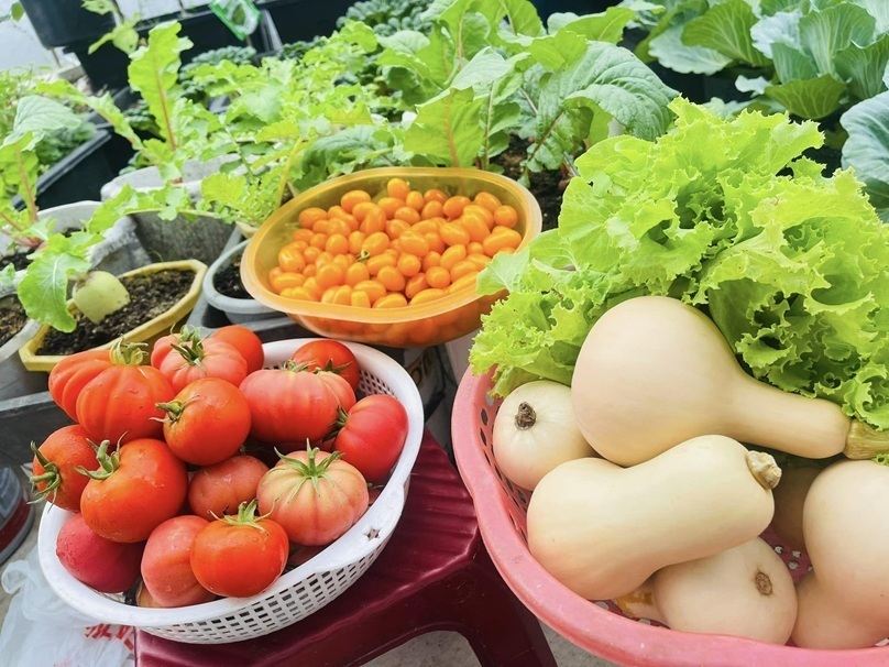 Dù thời gian đầu chưa có nhiều kinh nghiệm, nữ gia chủ đã kiên trì học hỏi và cải thiện dần kỹ năng. Đến nay, khu vườn đã đi vào quỹ đạo ổn định, giúp gia đình hoàn toàn tự túc được nguồn rau trái cây nhà lá vườn.