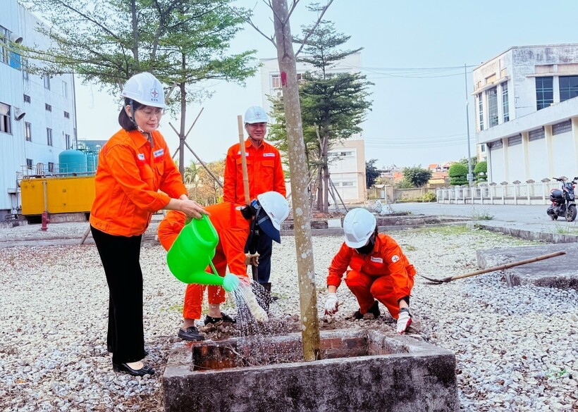 Công ty Nhiệt điện Uông Bí phát động “Tết trồng cây đời đời nhớ ơn Bác Hồ” Xuân 2026 - 7