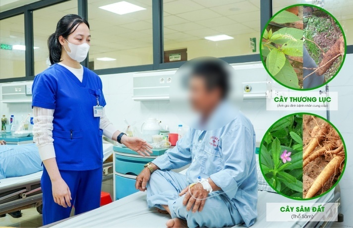 Ăn loại củ giống sâm đất, một người đàn ông phải nhập viện cấp cứu. Ảnh: Vietnamnet.