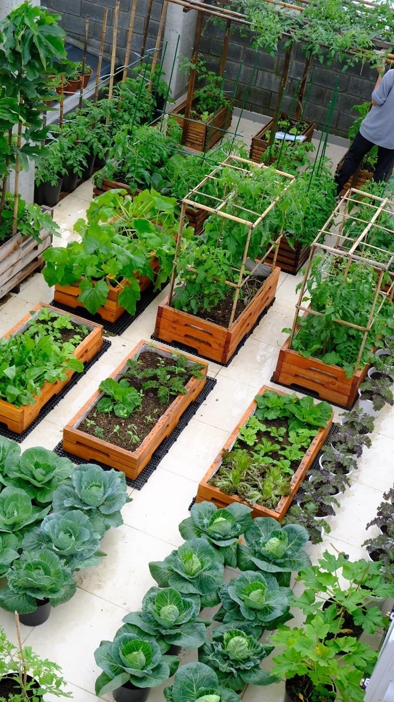 Càng làm càng say mê, việc chăm sóc cây cối dần trở thành một phần không thể thiếu trong cuộc sống của người phụ nữ này.