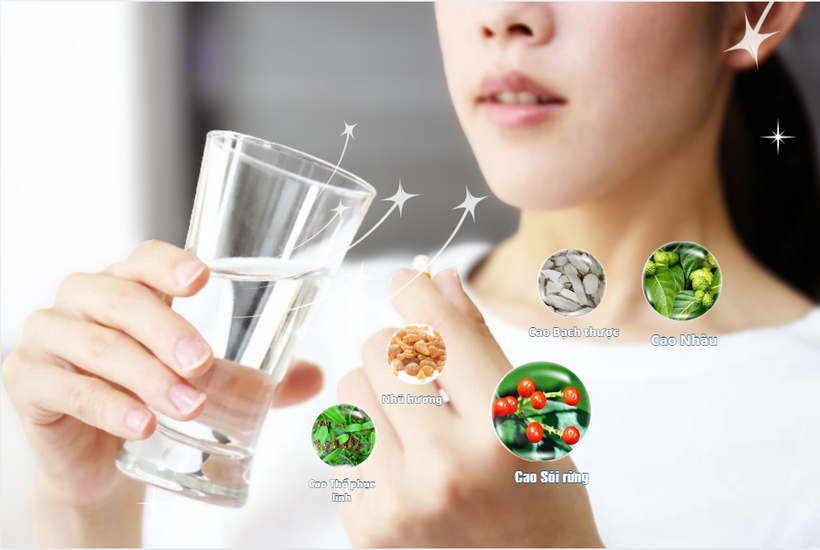 Thảo dược tự nhiên giúp điều hòa miễn dịch, giảm viêm và hỗ trợ kiểm soát lupus ban đỏ ổn định hơn