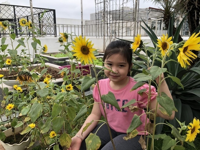 Với chị Huyền, dù bận rộn công việc và phải chăm sóc 4 con nhỏ, việc dành thời gian mỗi ngày cho khu vườn chính là liều thuốc tinh thần vô giá. Không gian xanh mát trên cao không chỉ giúp chị tiết kiệm chi phí sinh hoạt mà còn là nơi thư giãn, trút bỏ mọi áp lực và tìm lại sự bình yên sau những giờ làm việc căng thẳng.