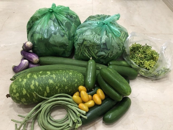 Trải qua những ngày vất vả vun xới, giờ đây gia đình chị Huyền luôn có nguồn rau củ quả dồi dào, không chỉ đủ dùng mà còn có thể chia sẻ cho người thân, bạn bè.