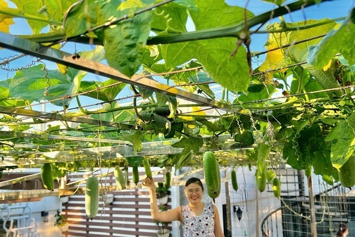 Để đảm bảo hệ thống thoát nước vận hành tốt, chị Huyền áp dụng quy trình rải lớp nhựa thoát nước, tiếp đến là lớp vải địa kỹ thuật nhằm ngăn đất trôi theo dòng nước trước khi đổ đất trồng.