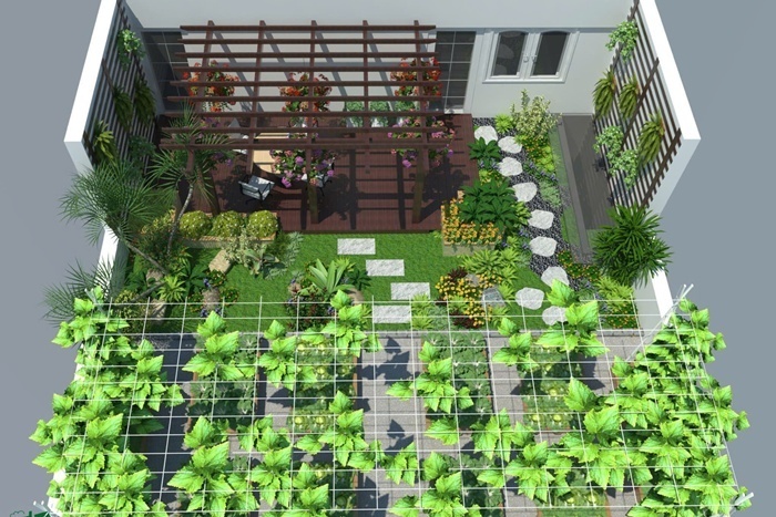 Thấu hiểu tâm nguyện của vợ, chồng chị Huyền vốn là một kỹ sư đã hết lòng ủng hộ và hỗ trợ thiết kế khu vườn rộng 100m2. Tại đây, chị bố trí đa dạng các loại thực vật từ rau ăn lá, các loại cây leo hàng rào như đậu đũa, cô ve đến các loại quả trên giàn như bầu, bí, mướp, su su. Đặc biệt, khu vườn còn có sự góp mặt của cây ăn trái như sung Mỹ và các loại dưa lê, dưa gang, dưa lưới.