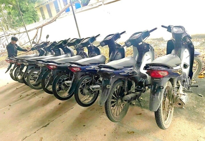 Tang vật chuyên án thu giữ. Ảnh: Cổng thông tin điện tử Công an tỉnh Nghệ An