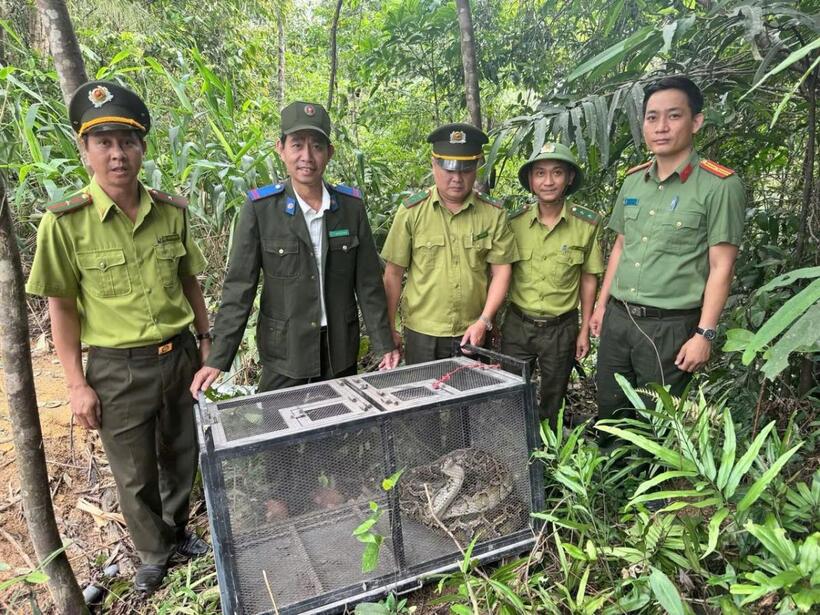 Người dân bàn giao cá thể trăn đất quý hiếm.