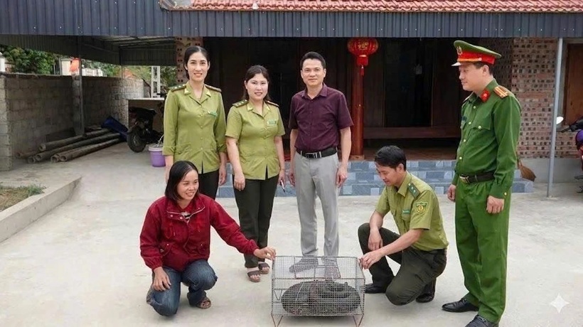 Người dân bàn giao cá thể trăn đất quý hiếm.