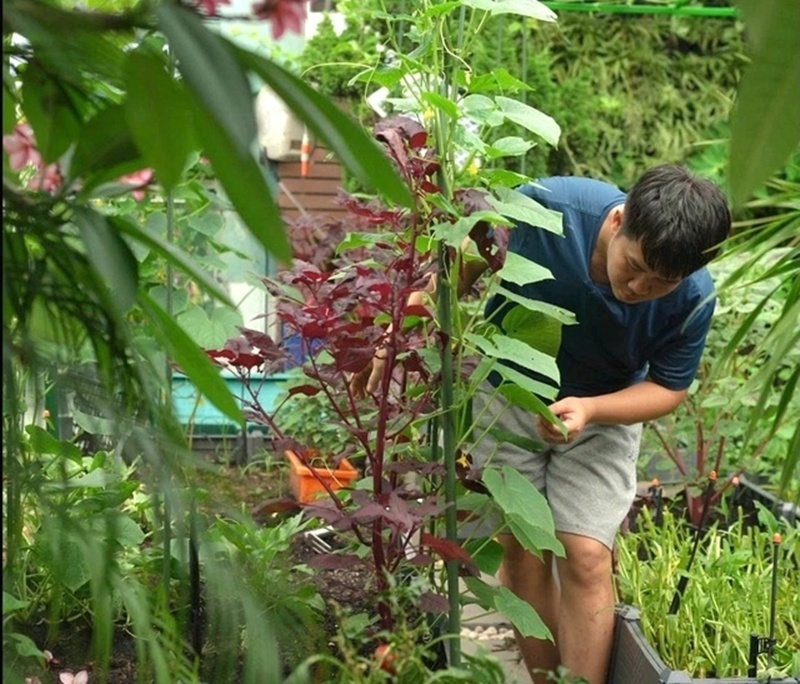 Để có được thành quả này, anh Tùng đã đầu tư hơn 3 tỷ đồng cho việc xây dựng thô và hoàn thiện khu vườn. Do vị trí nằm ở tầng cao nhất của tòa nhà và được thiết kế đồng bộ với kiến trúc căn hộ, chi phí vận chuyển cũng như thi công vô cùng đắt đỏ.