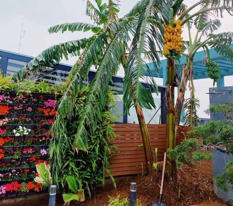 Bên cạnh đó, các khoản chi phí nhằm gia cố chống thấm, chống ngập và đảm bảo an toàn trước gió bão tại đây cũng cao gấp đôi so với các công trình thấp tầng thông thường.