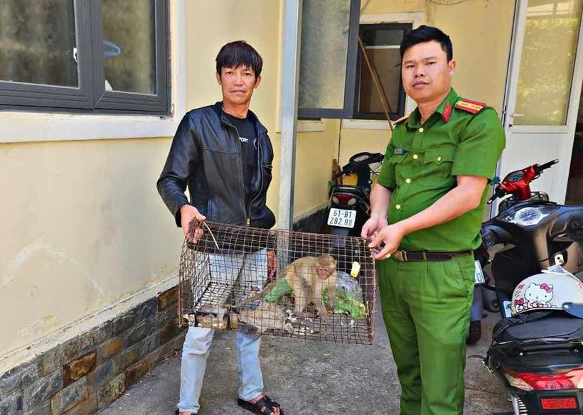 Ông Thời bàn giao cá thể khỉ quý cho cơ quan chức năng. Ảnh: Báo Lâm Đồng
