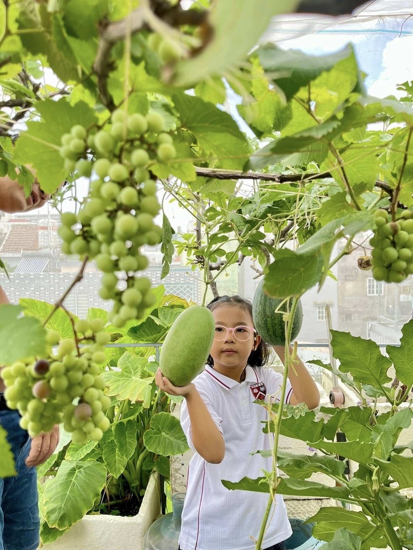Chia sẻ về bí quyết giúp vườn luôn xanh tốt, chị Trân nhấn mạnh tầm quan trọng của việc làm đất. Trước mỗi vụ trồng, chị đều trộn lại đất thật kỹ, bổ sung phân hữu cơ tự ủ để đảm bảo độ tơi xốp và dinh dưỡng. Nhờ sự tỉ mỉ đó, suốt nhiều năm qua, gia đình chị hầu như không phải đi chợ mua rau.