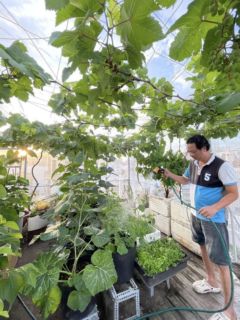 Mỗi buổi sáng bước lên sân thượng, hít hà mùi hương của cỏ cây và ngắm nhìn mầm xanh vươn mình là liều thuốc tinh thần vô giá, giúp chị tìm thấy sự bình yên và hạnh phúc trọn vẹn ngay trong chính ngôi nhà của mình.