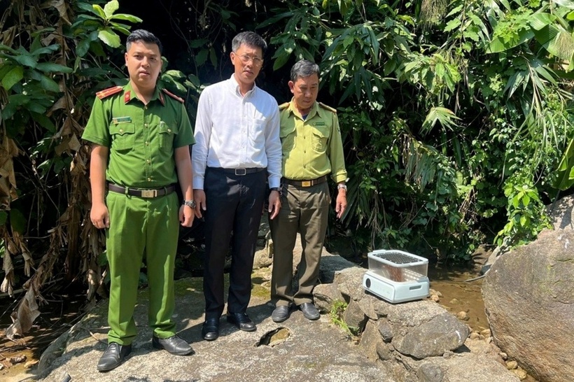 Lực lượng chức năng thả cá thể cu li về lại môi trường rừng tự nhiên. (Ảnh: Dân trí)