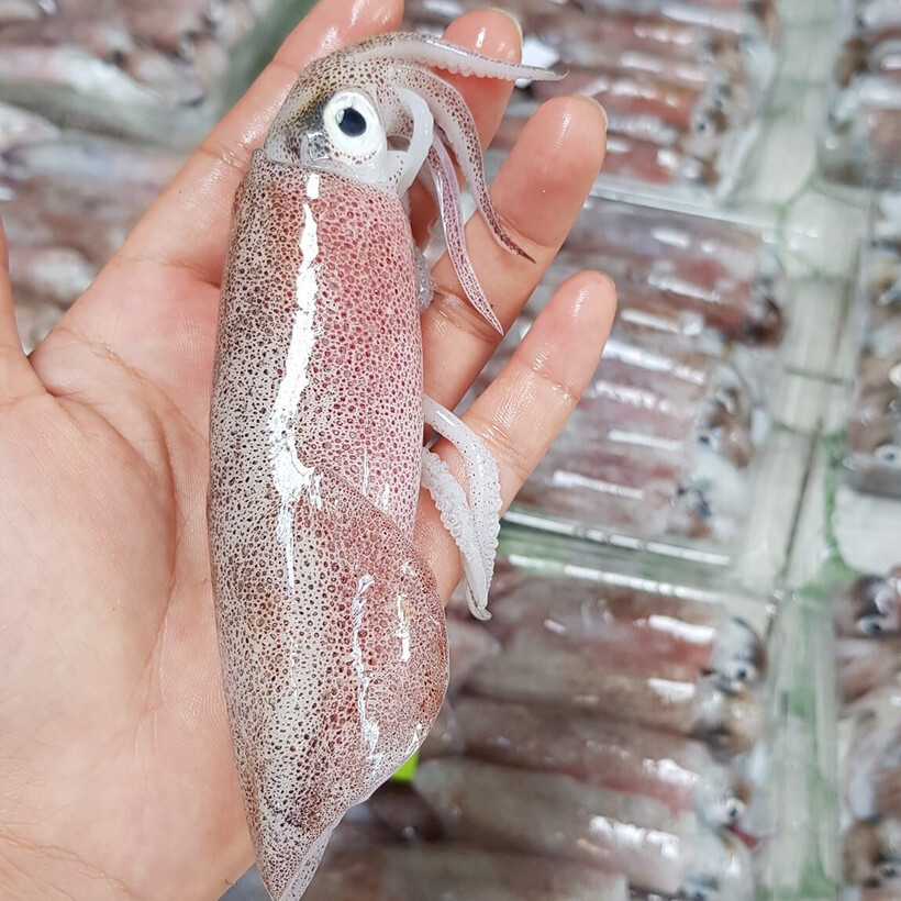 Nắm được cách phân biệt mực tươi và mực ướp đá lâu ngày này, bạn có thể tự tin hơn khi lựa chọn thực phẩm cho gia đình mình.