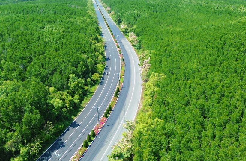 Với đường chạy "chạm biển - xuyên rừng" cùng sự góp mặt của các đối tác di chuyển xanh là VinFast, Xanh SM, VnExpress Marathon Green Paradise Cần Giờ là giải chạy có cung đường xanh nhất hệ thống VnExpress Marathon