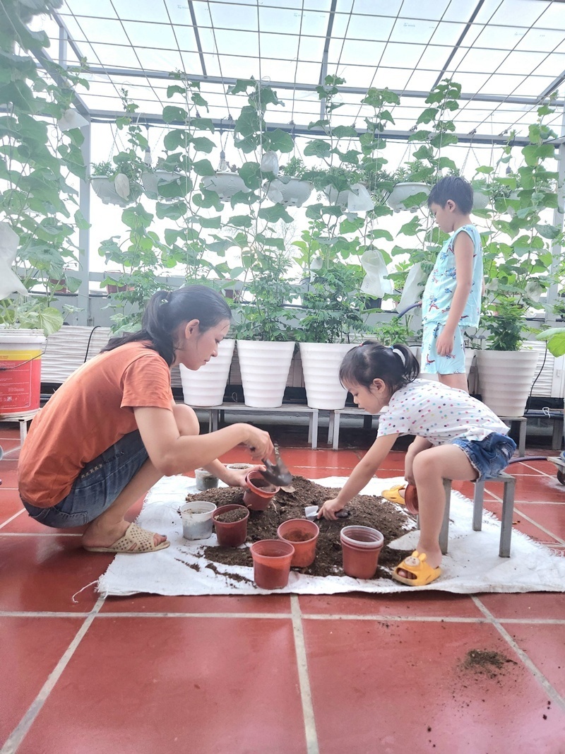 Với mong muốn bù đắp cho con và tạo ra một không gian thiên nhiên gần gũi để các con vui chơi, học hỏi, chị Luy đã quyết tâm biến sân thượng thành một hệ sinh thái nhỏ.