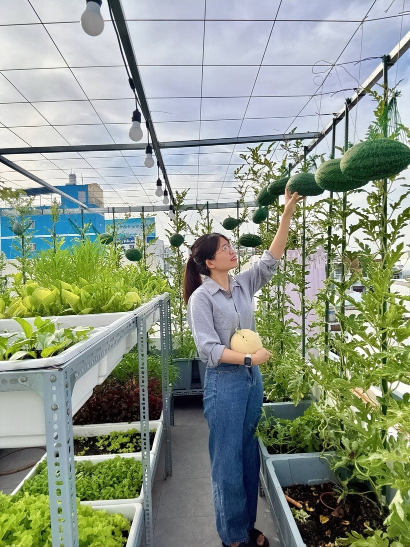 Chị Hồng Nhớ hiện đang đảm nhận vai trò quản lý tại một công ty dược phẩm ở TP.HCM. Ước mơ về một khoảng sân vườn nhỏ trong chính ngôi nhà của mình đã được chị ấp ủ suốt nhiều năm qua, nhưng do điều kiện ở nhà thuê nên chị chưa thể hiện thực hóa.