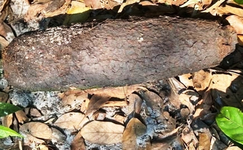 Một trong 2 quả đạn pháo được người dân ở TP.Huế phát hiện. (Ảnh: VTC News)