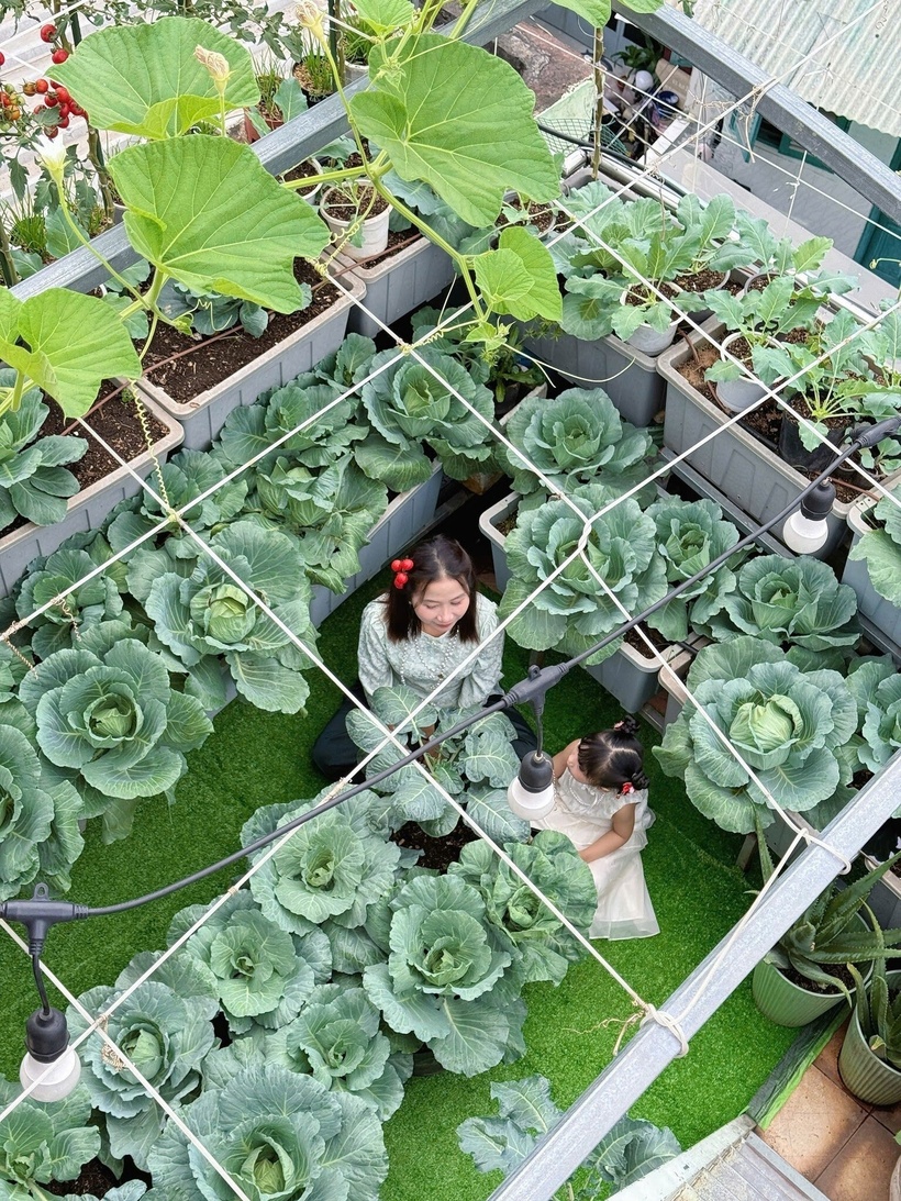 Mảnh vườn của chị Huỳnh Thị Minh Thừa không chỉ đơn thuần là một nơi sản xuất thực phẩm, mà còn là biểu tượng đẹp về lối sống xanh và tình yêu thương gia đình bền bỉ. Ở đó, người phụ nữ đảm đang ấy đã gieo xuống những hạt giống của sự kiên nhẫn để thu hoạch về những mùa màng an yên ngay giữa lòng phố thị xô bồ.