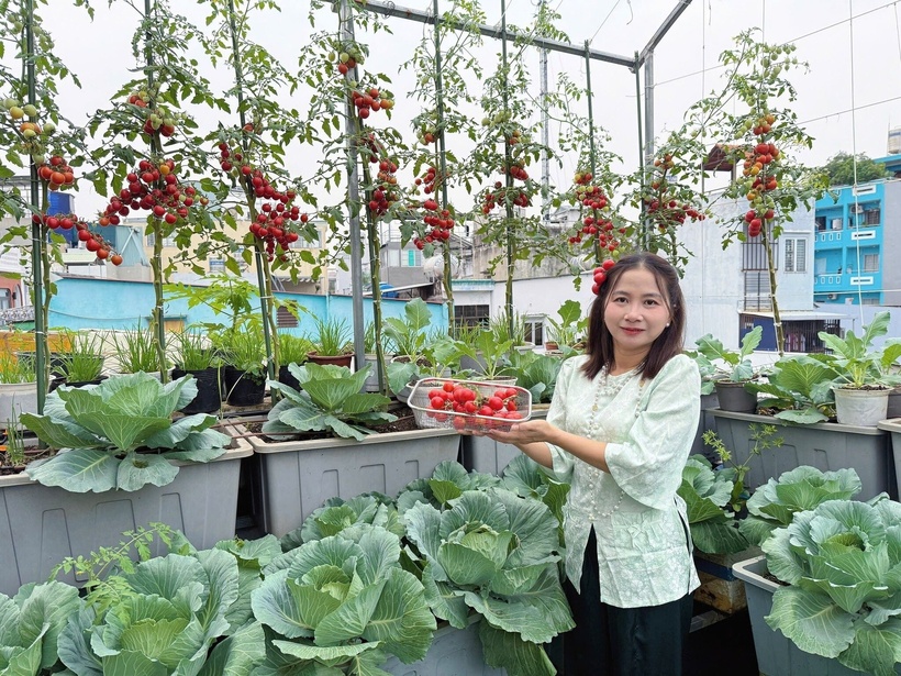 Hành trình gieo mầm xanh của chị bắt đầu từ năm 2021, cột mốc khi con gái đầu lòng chào đời. Xuất phát từ nỗi trăn trở về chất lượng thực phẩm thị trường và mong muốn mang đến những bữa ăn dặm an toàn nhất cho con, chị Thừa đã quyết định tự tay gây dựng nguồn rau sạch tại gia.