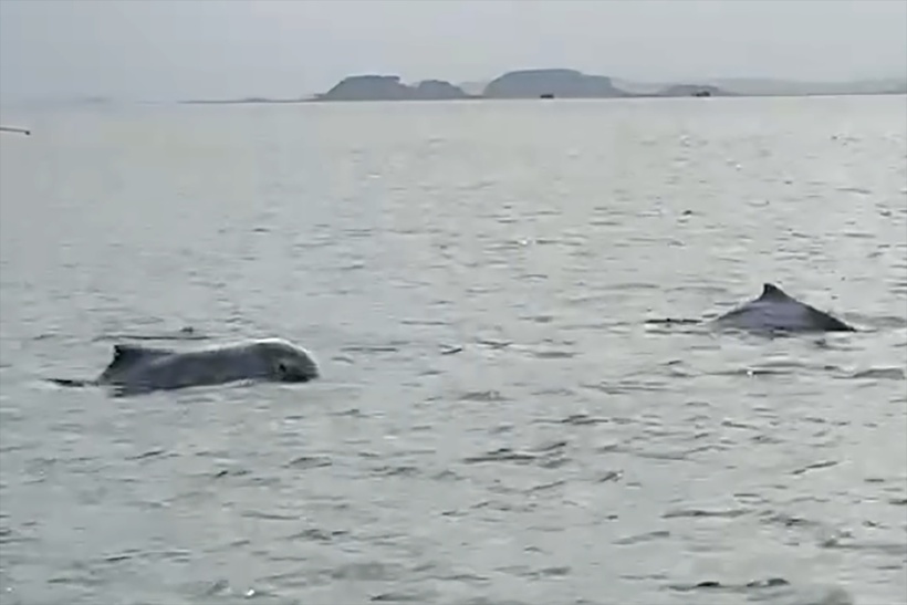 Sự việc nhanh chóng nhận được sự chú ý của cộng đồng mạng. Ảnh: Dân trí