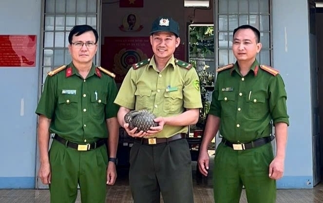 Công an xã Tà Lài tiếp nhận cá thể tê tê từ anh Nguyễn Thanh Lam (ảnh trên), bàn giao cho lực lượng Kiểm lâm (ảnh dưới). Ảnh: Cổng thông tin điện tử Công an tỉnh Đồng Nai