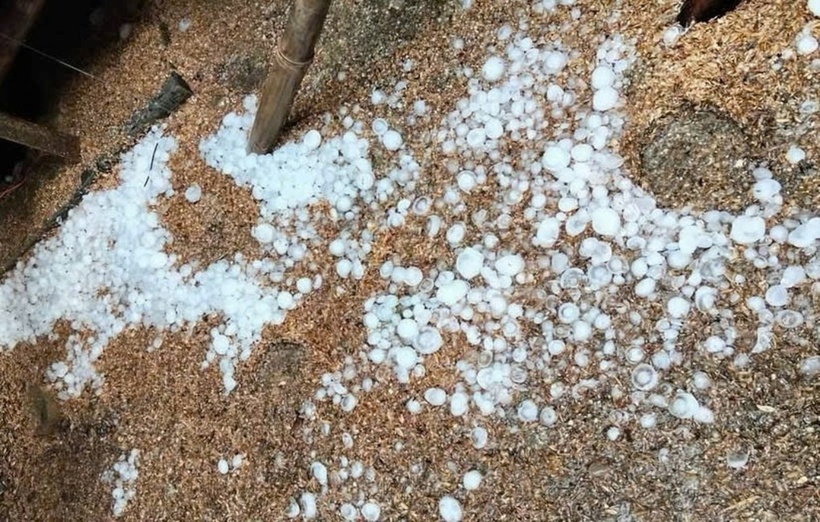 Mưa đá xuất hiện ở Cao Bằng chiều 31/3. (Ảnh: Dân trí)