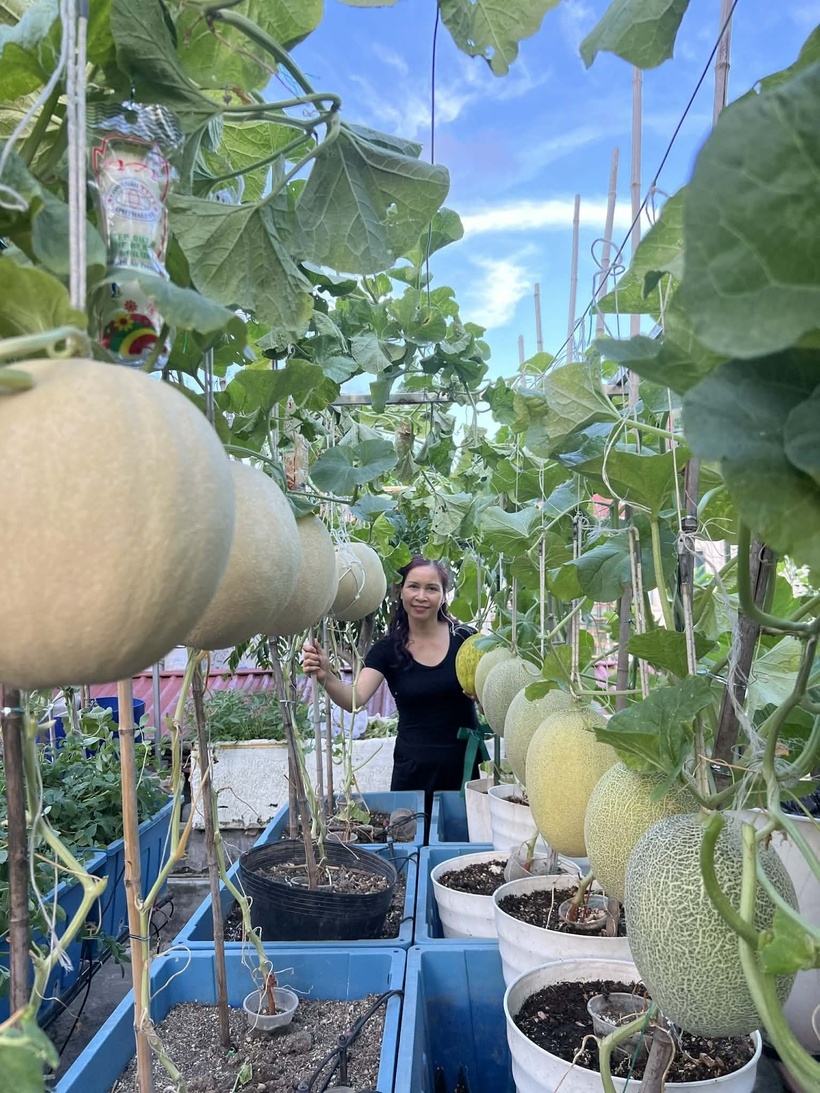 Mảnh vườn trên cao không chỉ là nguồn cung cấp thực phẩm mà còn là nơi chị rèn luyện tâm tính, rút ra những bài học quý giá về sự tận hiến. Mỗi ngày qua đi, chị Nga vẫn âm thầm gieo mầm, không chỉ là những mầm xanh thực hữu trên sân thượng, mà còn là mầm non tri thức và ước mơ cho những học trò nhỏ, tạo nên một bản giao hưởng hạnh phúc giản dị ngay trong chính ngôi nhà của mình.