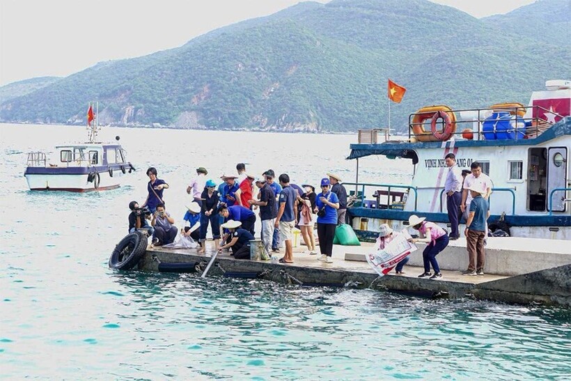 Hoạt động thả giống tái tạo nguồn lợi thủy sản tại Khu Bảo tồn biển Hòn Mun. Nguồn ảnh: Báo Khánh Hòa