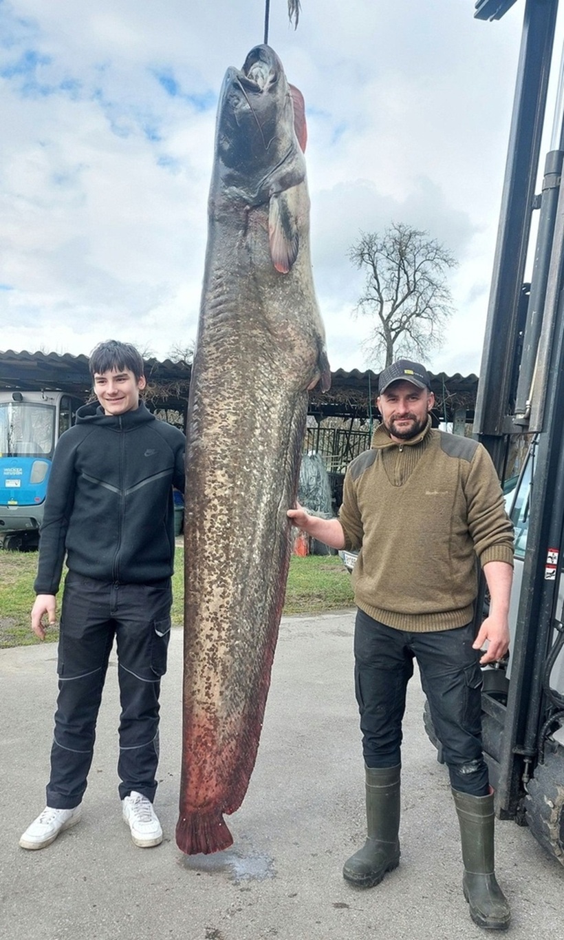 Franz Blum (bên phải) và con trai chụp ảnh cùng con cá trê dài 2,6 mét và nặng 109 kg.