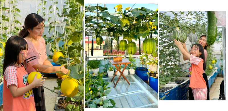 Đối với chị Liên, khu vườn trên cao này không chỉ đơn thuần là nơi cung cấp thực phẩm mà còn là "liều thuốc" tinh thần quý giá.