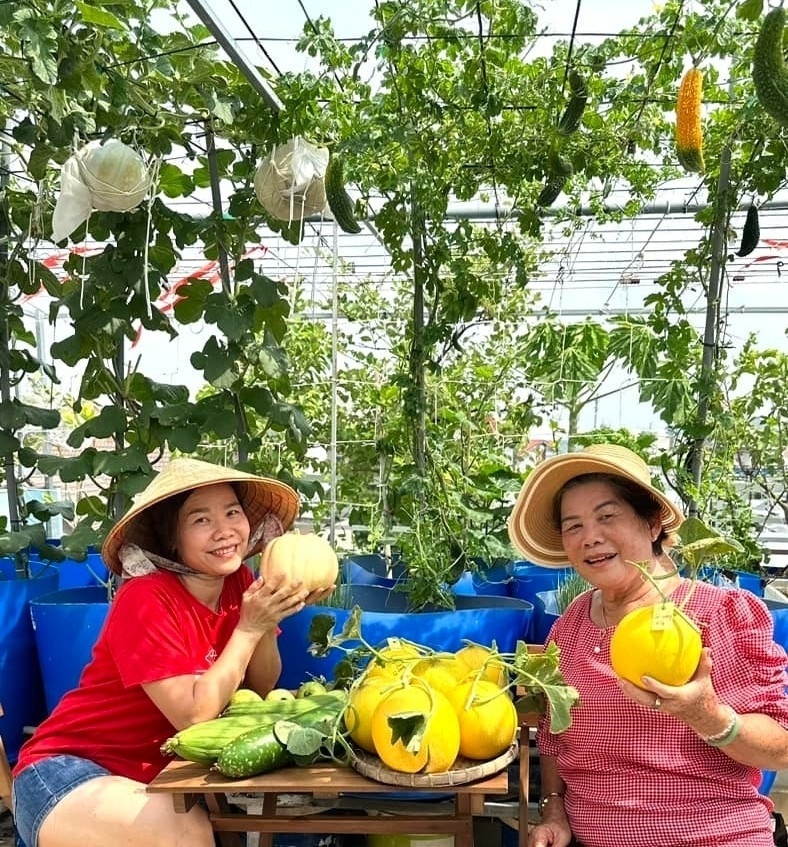 Từ khi gắn bó với công việc làm vườn, chứng bệnh đau đầu của chị đã thuyên giảm rõ rệt, thay vào đó là sự thư thái và nguồn năng lượng tích cực. Chị thường hóm hỉnh chia sẻ rằng nhà không cần quá lớn nhưng nhất định phải có một khoảng sân đủ rộng để "trồng cả thế giới", tạo nên một góc trú ẩn yên bình và gắn kết các thành viên sau những giờ làm việc căng thẳng.